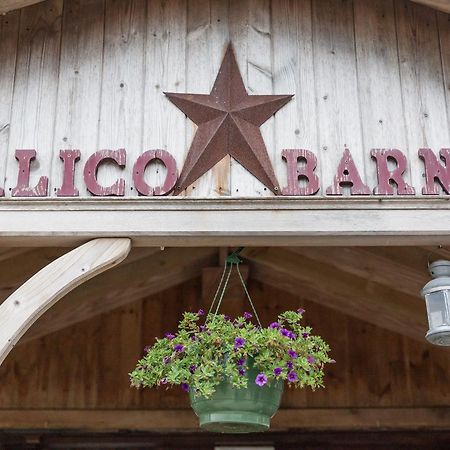 Widdrington Calico Barnホステル エクステリア 写真