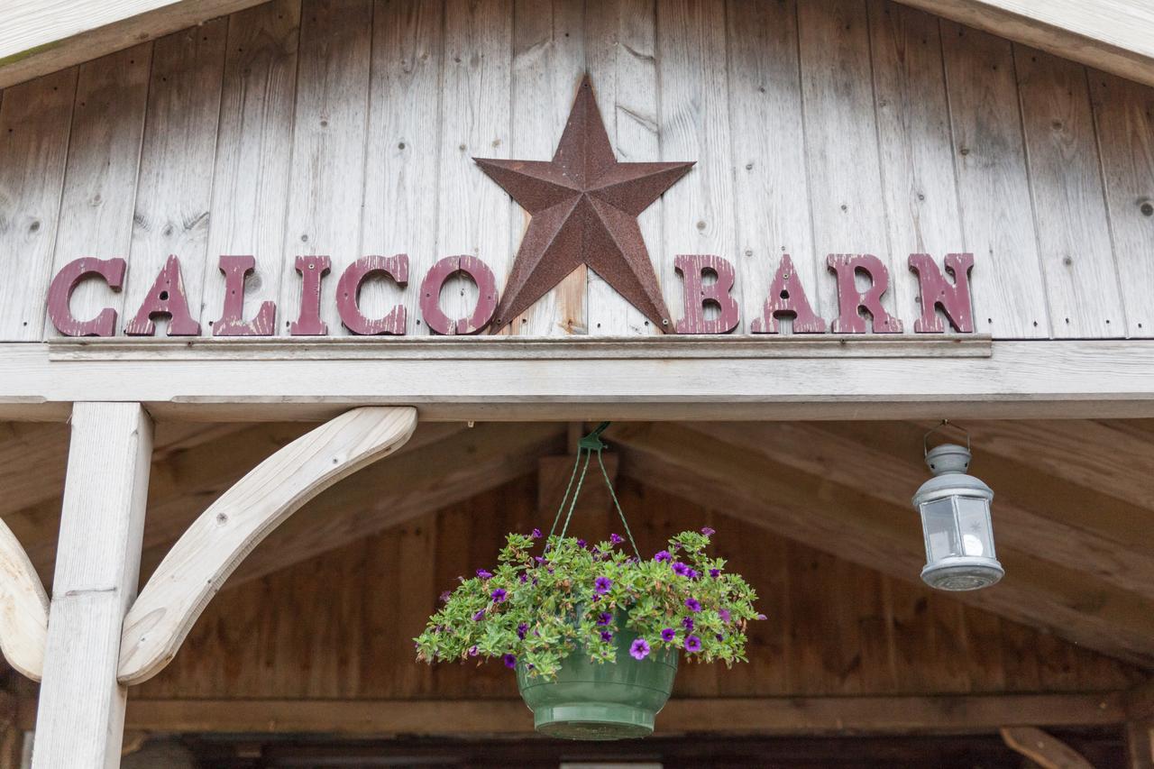 Widdrington Calico Barnホステル エクステリア 写真